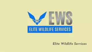 elite wildlife services