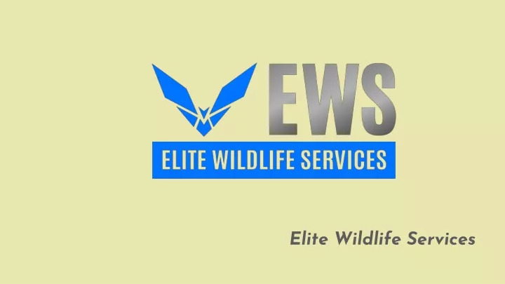 elite wildlife services