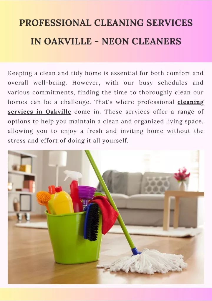 professional cleaning services