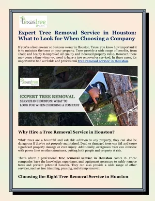 Expert Tree Removal Service in Houston