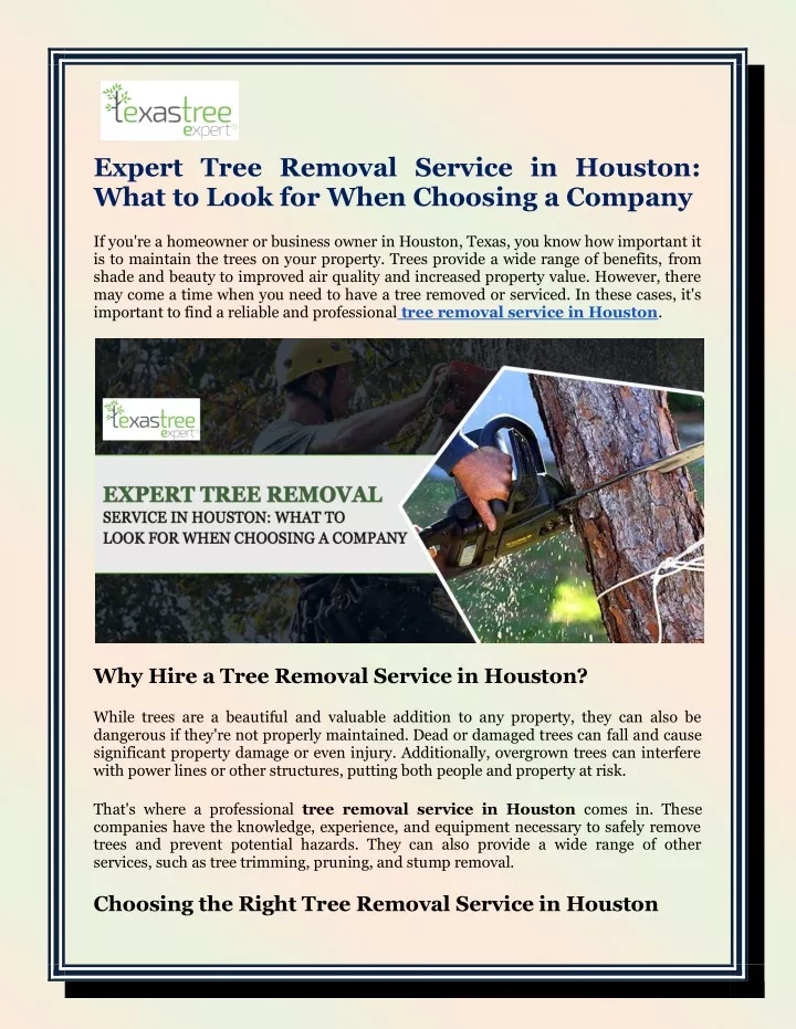 expert tree removal service in houston what