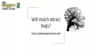 Will mulch attract bugs_ Johnson Ops Tree Care