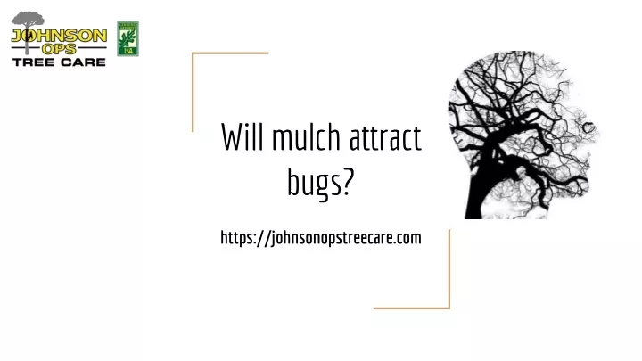 will mulch attract bugs