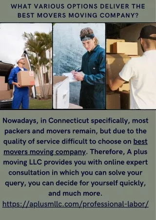 What Various Options Deliver The Best Movers Moving Company