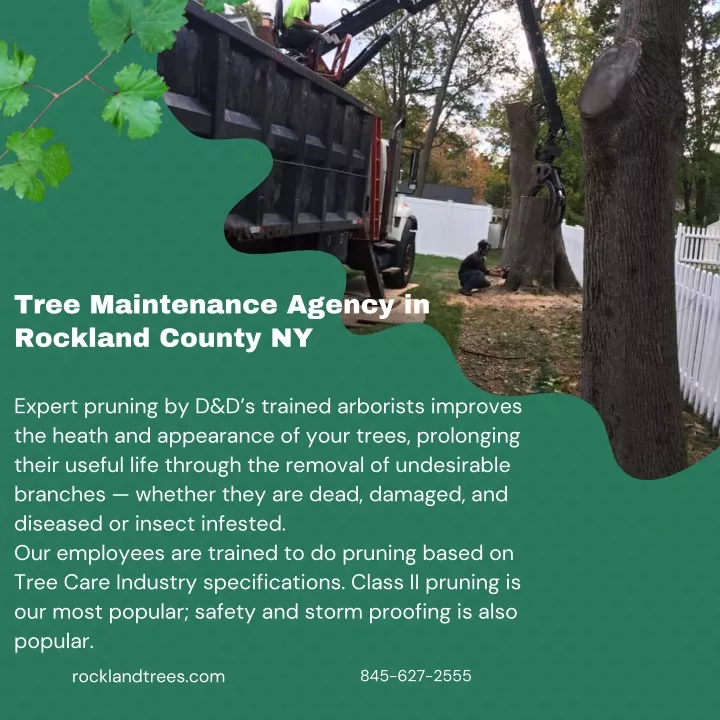 tree maintenance agency in rockland county ny