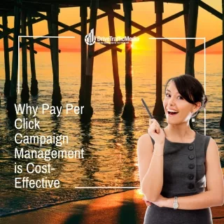 Why Pay Per Click Campaign Management Is Cost-Effective