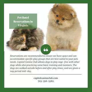 pet hotel reservations in virginia
