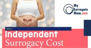 Navigating Independent Surrogacy Cost: Your Guide at MySurrogateMom