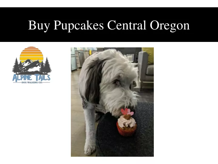 buy pupcakes central oregon