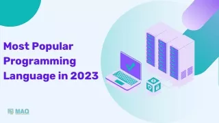 most popular programming language in 2023