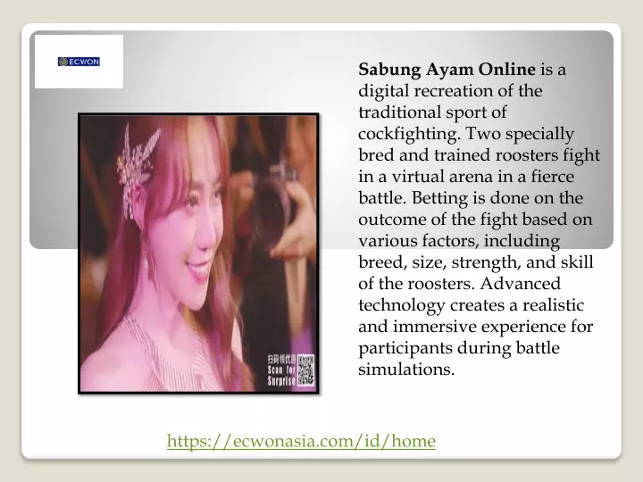 sabung ayam online is a digital recreation