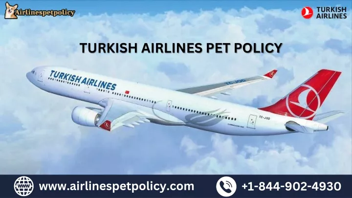 www airlinespetpolicy com