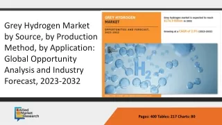 Global Grey Hydrogen Market  PPT