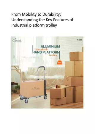 A Closer Look: Essential Features of Industrial Platform Trolleys