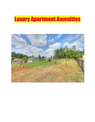 Luxury Apartment Amenities