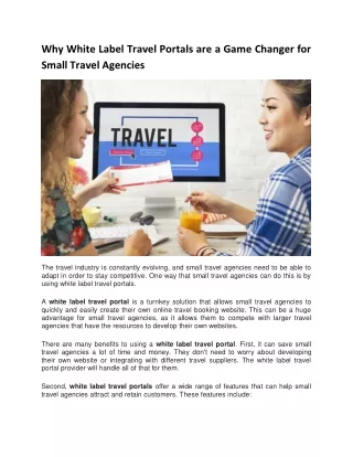 Why White Label Travel Portals are a Game Changer for Small Travel Agencies
