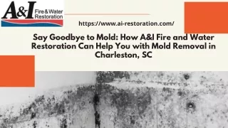 How A&I Fire and Water Restoration Can Help You with Mold Removal in Charleston, SC