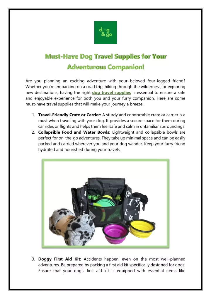 must have dog travel supplies for your