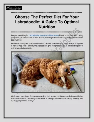 Choose The Perfect Diet For Your Labradoodle
