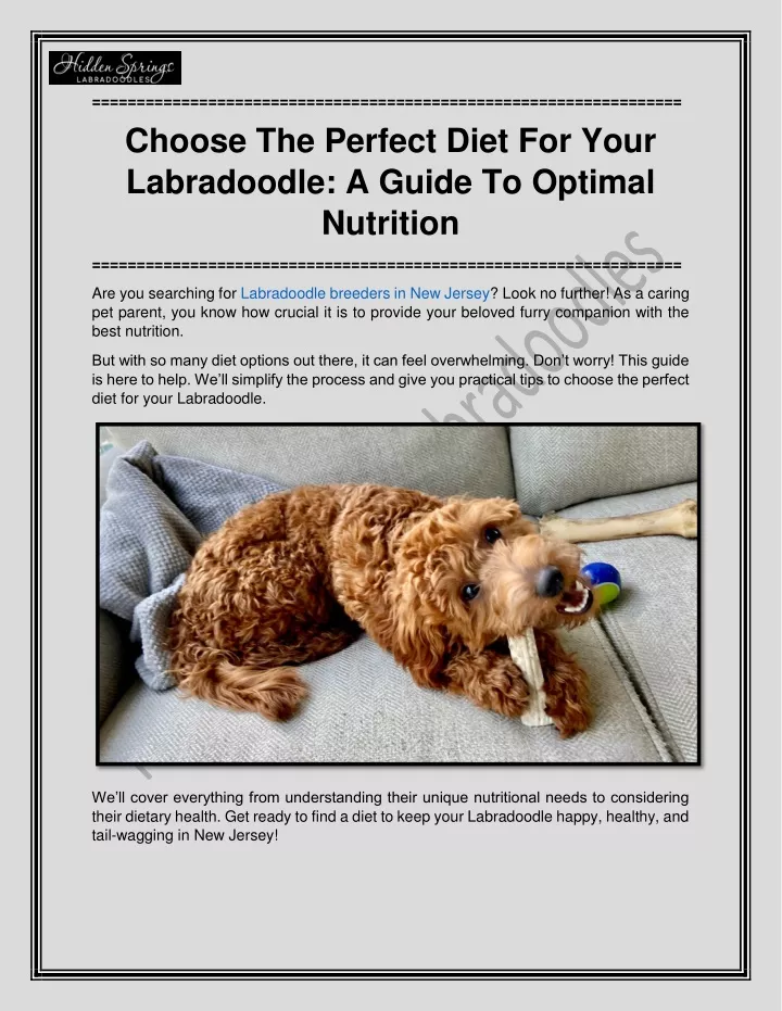 choose the perfect diet for your labradoodle