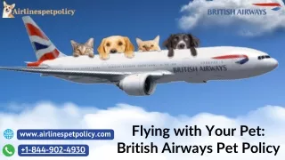 flying with your pet british airways pet policy