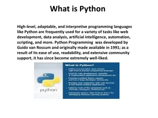 python programming