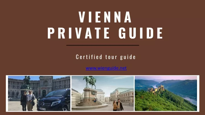vienna private guide