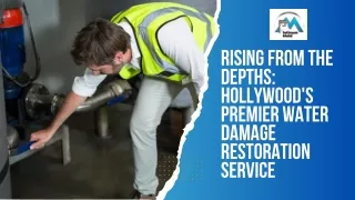 Rising from the Depths Hollywood's Premier Water Damage Restoration Service