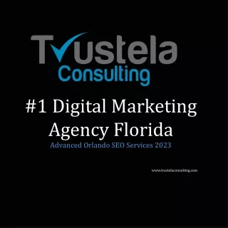 #1 SEO Company Orlando 2023 - Trustela Consulting