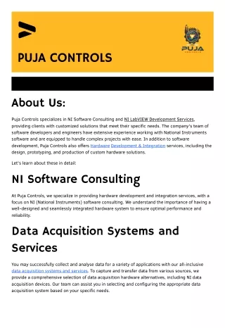 Puja Controls: NI Software Consulting and Development