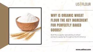 Why Is Organic Wheat Flour the Key Ingredient for Perfectly Baked Goods