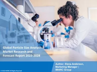 global particle size analysis market research