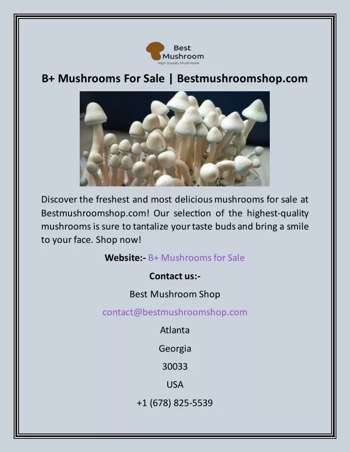 b mushrooms for sale bestmushroomshop com