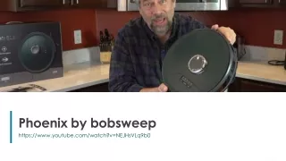 phoenix by bobsweep