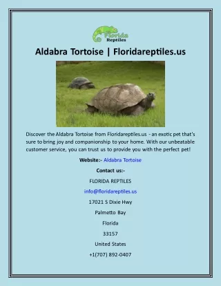 Aldabra Tortoise  Floridareptiles.us