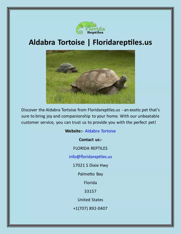 aldabra tortoise floridareptiles us
