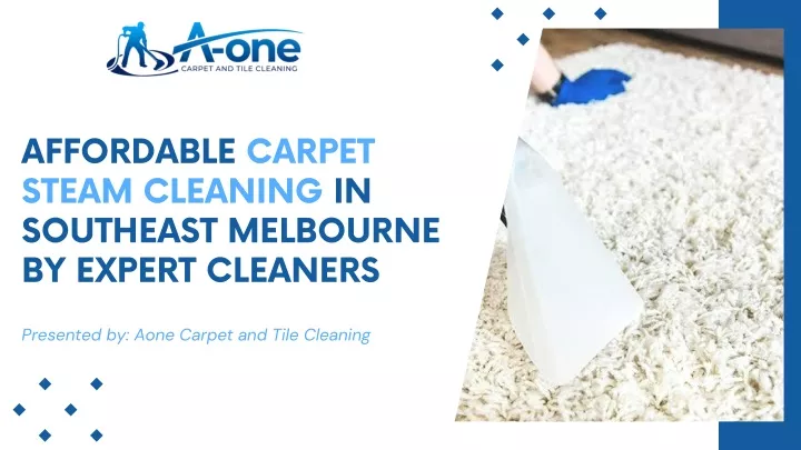 affordable carpet steam cleaning in southeast