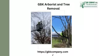 Contact the GBK for Arborist and Tree Removal