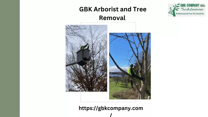 gbk arborist and tree removal