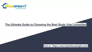 The Ultimate Guide to Choosing the Best Study Visa Consultant
