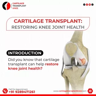 Knee Joint Rehabilitation: From Pain to Performance