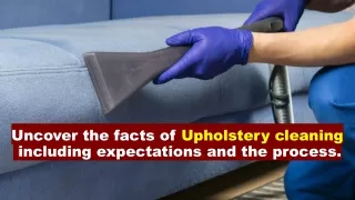 Uncover the facts of Upholstery cleaning including expectations and the process.