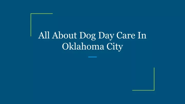 all about dog day care in oklahoma city