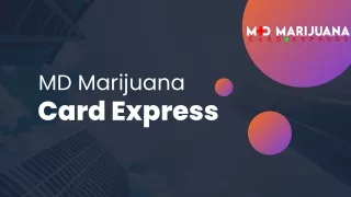 Medical Marijuanas in Florida - MD Marijuana Card Express