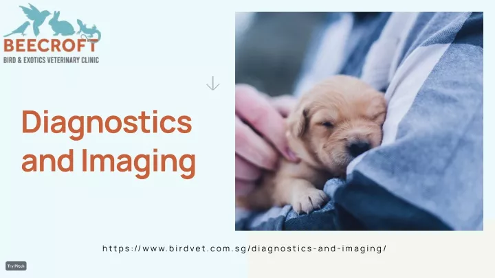 diagnostics and imaging