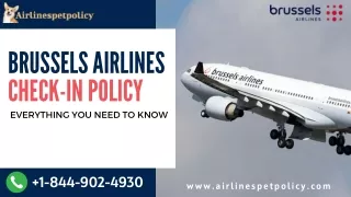 brussels airlines check in policy everything