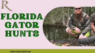 Florida Gator Hunts: Thrilling Adventures in the Everglades