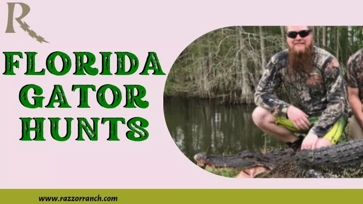 florida gator hunts hunts