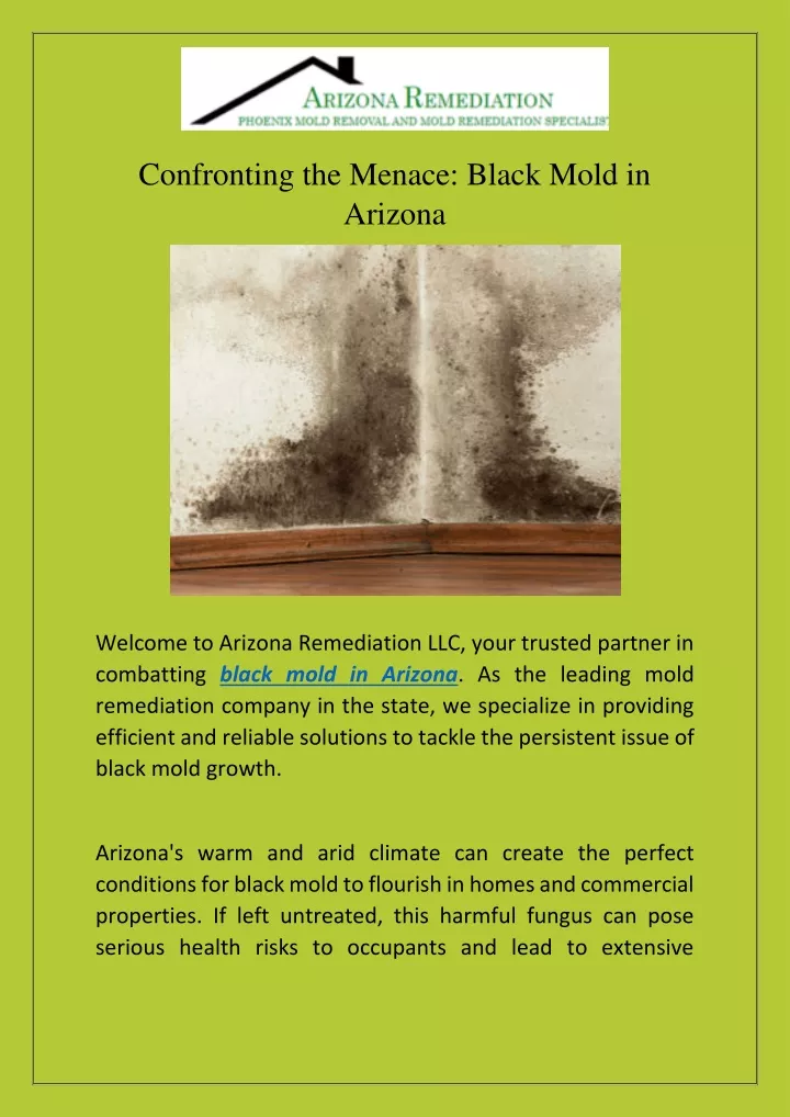 confronting the menace black mold in arizona