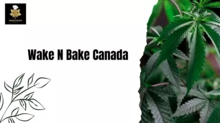 Wake N Bake Canada